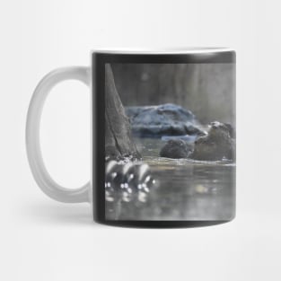 Asian Small-Clawed Otter Mug